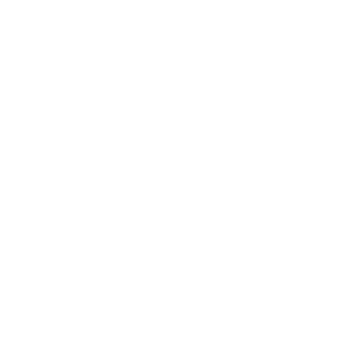 Die Kraftstoffanlage